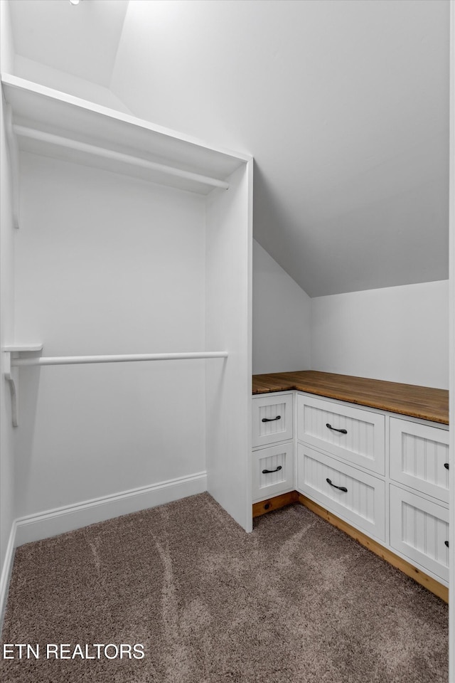 122 Springfield Ln, Jacksboro, TN 37757 - walk in closet featuring lofted ceiling and dark colored carpet