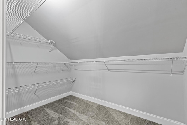 122 Springfield Ln, Jacksboro, TN 37757 - spacious closet featuring lofted ceiling and carpet