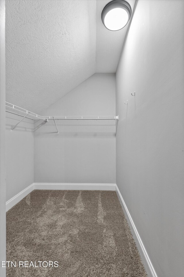 122 Springfield Ln, Jacksboro, TN 37757 - walk in closet featuring carpet floors and vaulted ceiling