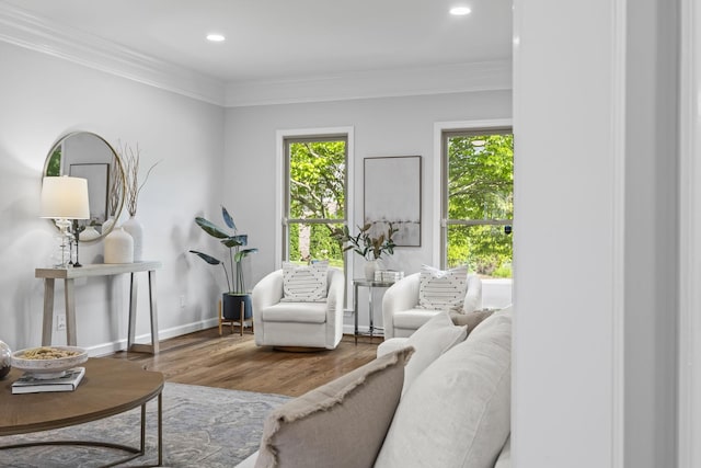 1183 Buckingham Cir, Franklin, TN 37064 - living area featuring healthy amount of natural light, wood finished floors, crown molding, baseboards, and recessed lighting