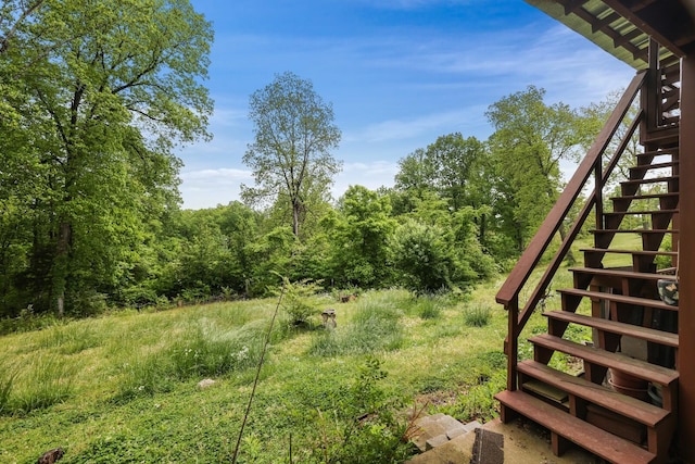 1023 Pine Valley Rd, Kingston Springs, TN 37082 - view of yard with stairs and a forest view