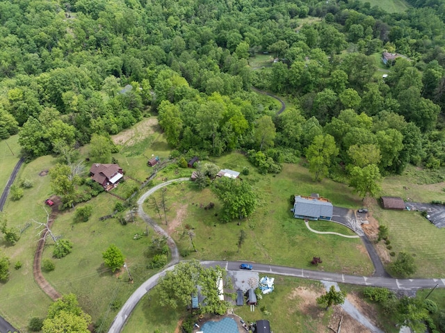 1023 Pine Valley Rd, Kingston Springs, TN 37082 - aerial view of property and surrounding area