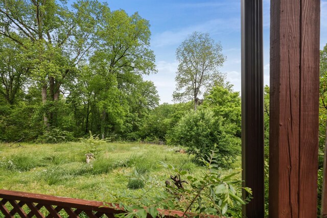 1023 Pine Valley Rd, Kingston Springs, TN 37082 - view of local wilderness