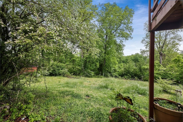 1023 Pine Valley Rd, Kingston Springs, TN 37082 - view of yard with a forest view