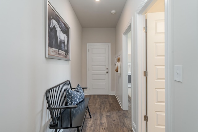 entryway featuring dark wood-style floors
