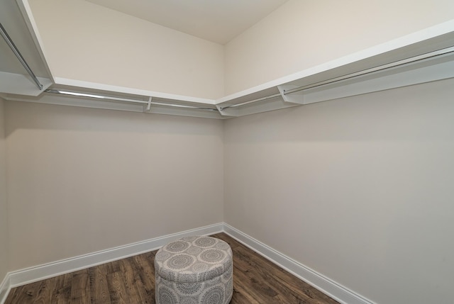 spacious closet featuring dark wood-type flooring