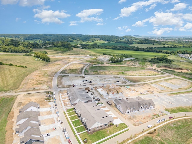 drone / aerial view