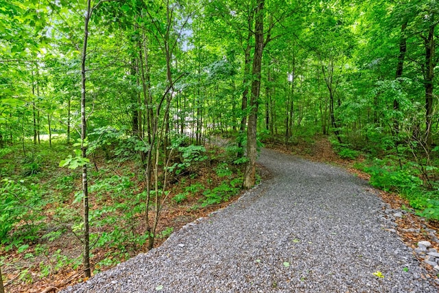 5643 Bethlehem Rd, Springfield, TN 37172 - view of street with a wooded view
