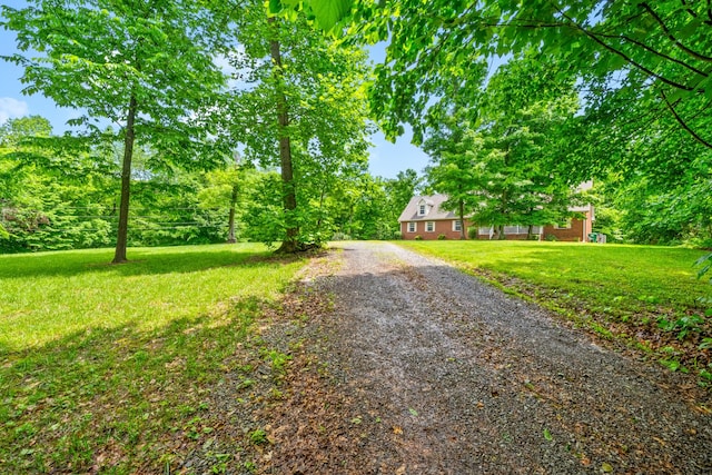 5643 Bethlehem Rd, Springfield, TN 37172 - view of front of property featuring a front lawn and gravel driveway
