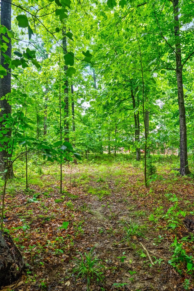 5643 Bethlehem Rd, Springfield, TN 37172 - view of tree filled area