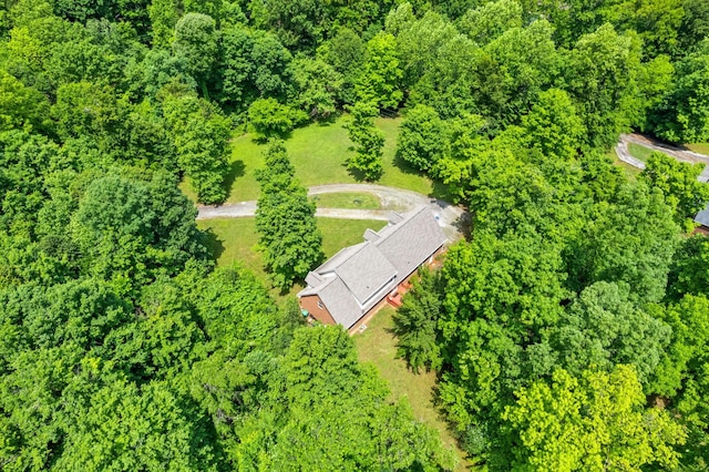 5643 Bethlehem Rd, Springfield, TN 37172 - view from above of property