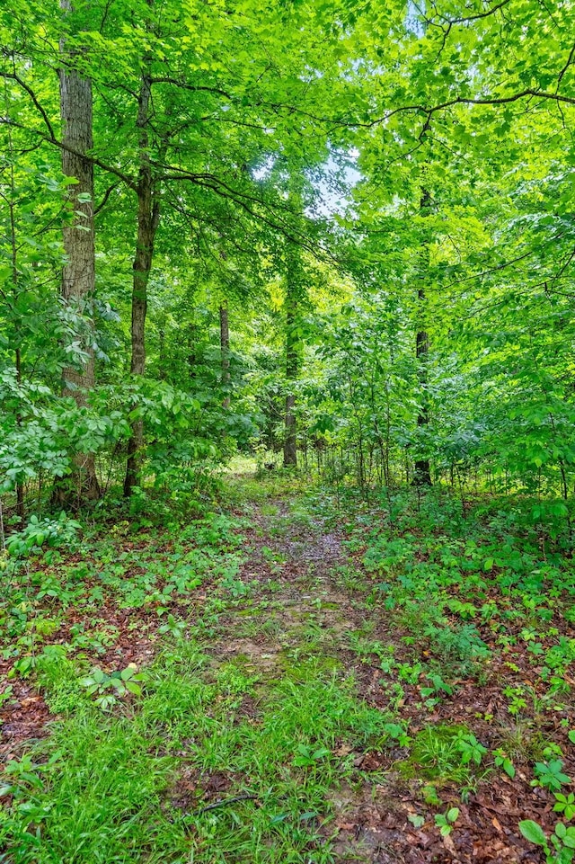 5643 Bethlehem Rd, Springfield, TN 37172 - view of woods