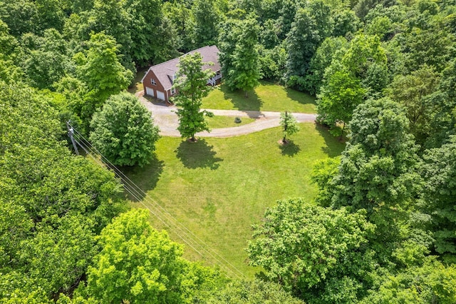 5643 Bethlehem Rd, Springfield, TN 37172 - view from above of property