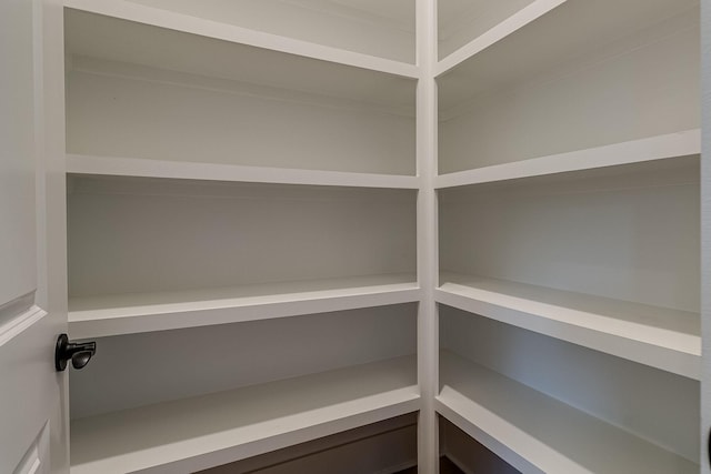 3005 Turnstone Trce, Spring Hill, TN 37174 - view of pantry