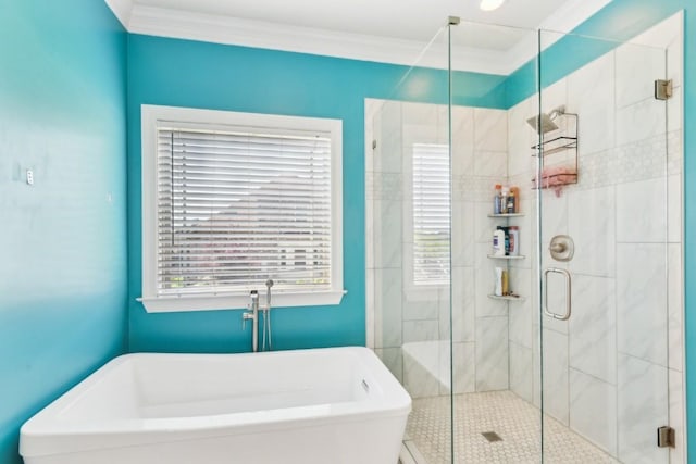 1384 Round Hill Ln, Spring Hill, TN 37174 - full bathroom with a shower stall, a soaking tub, and crown molding
