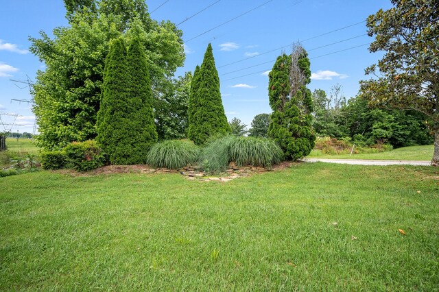 1000 Beverly Ln, Spring Hill, TN 37174 - view of grassy yard