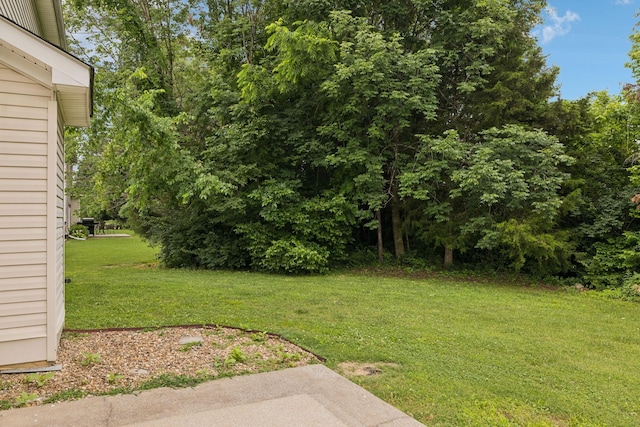 1000 Beverly Ln, Spring Hill, TN 37174 - view of grassy yard