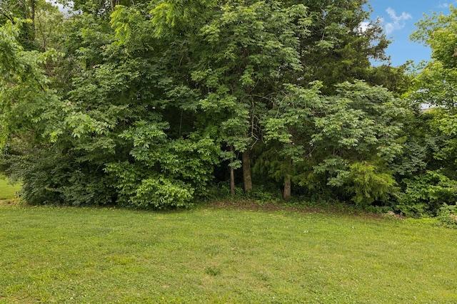 1000 Beverly Ln, Spring Hill, TN 37174 - view of green lawn