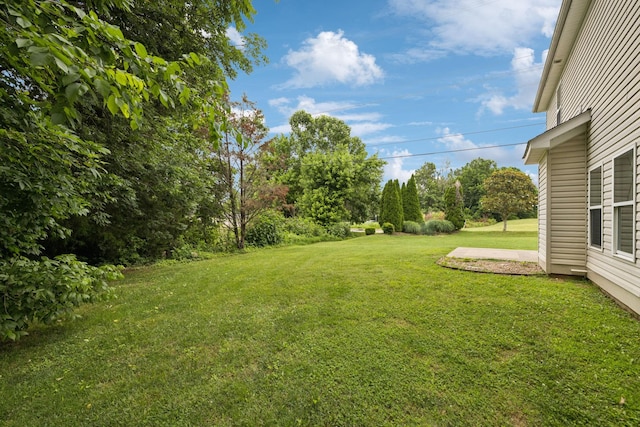 1000 Beverly Ln, Spring Hill, TN 37174 - view of green lawn