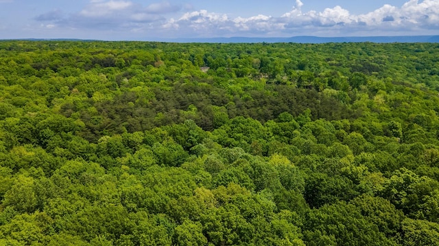aerial view of a forest