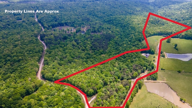 view of property location featuring a forest, property parcel outlined, and a large body of water