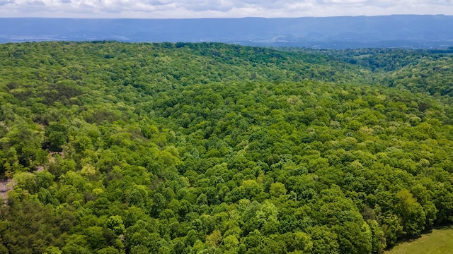 aerial view of a heavily wooded area and a mountainous background