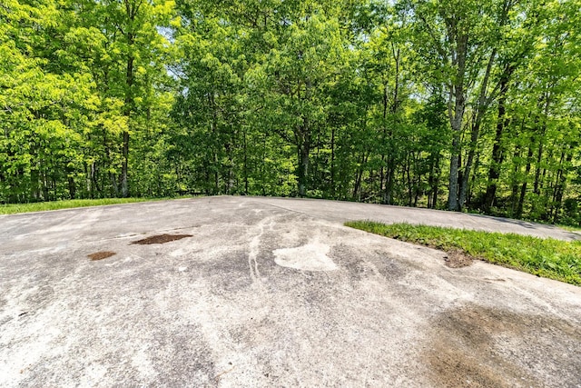 view of road with a view of trees