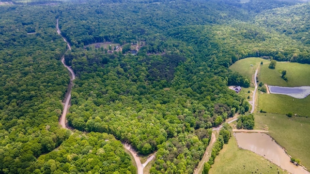 bird's eye view of a heavily wooded area and a large body of water