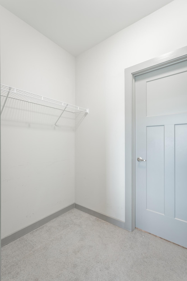 782 Riverfront Pkwy Unit 216, Chattanooga, TN 37402 - spacious closet with carpet flooring