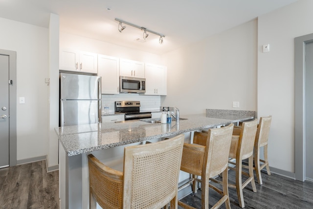 782 Riverfront Pkwy Unit 216, Chattanooga, TN 37402 - kitchen featuring stainless steel appliances, a sink, dark wood finished floors, a peninsula, and tasteful backsplash