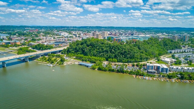 782 Riverfront Pkwy Unit 216, Chattanooga, TN 37402 - view of urban area with a notable bridge and a large body of water