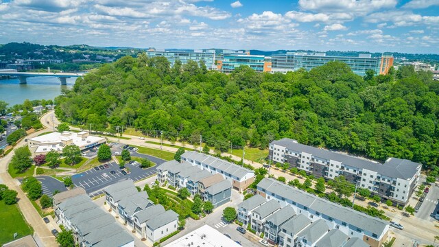 782 Riverfront Pkwy Unit 216, Chattanooga, TN 37402 - view of urban area with a notable bridge