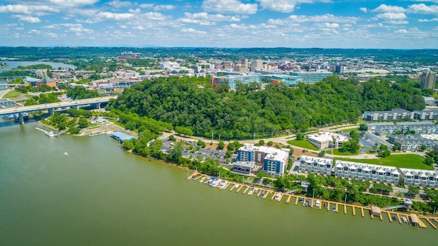 782 Riverfront Pkwy Unit 216, Chattanooga, TN 37402 - view of urban area with a nearby body of water and a notable bridge