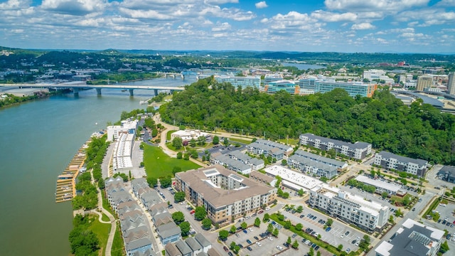 782 Riverfront Pkwy Unit 216, Chattanooga, TN 37402 - view of urban area with a notable bridge and a large body of water