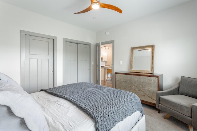 782 Riverfront Pkwy Unit 216, Chattanooga, TN 37402 - bedroom with a closet, a ceiling fan, and carpet flooring