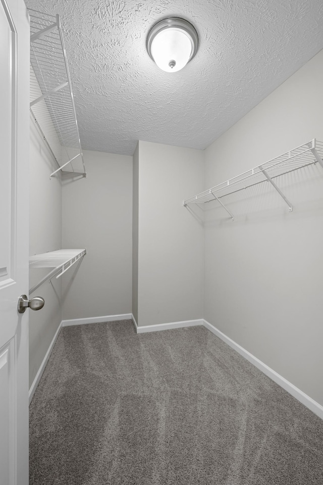 5029 Luker Ln, Antioch, TN 37013 - spacious closet with carpet