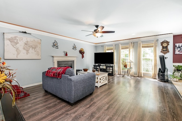 101 Wolverine Trl, La Vergne, TN 37086 - living room with dark wood-type flooring, crown molding, ceiling fan, a fireplace, and baseboards