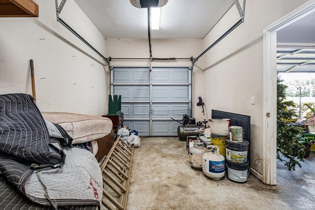 101 Wolverine Trl, La Vergne, TN 37086 - view of garage