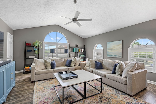 102 Braxton Park Ct, Goodlettsville, TN 37072 - living area featuring dark wood finished floors, a ceiling fan, lofted ceiling, baseboards, and a textured ceiling