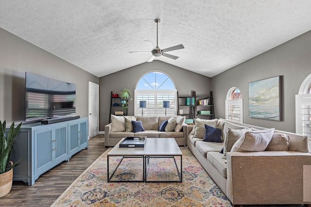 102 Braxton Park Ct, Goodlettsville, TN 37072 - living area featuring ceiling fan, dark wood finished floors, lofted ceiling, and a textured ceiling