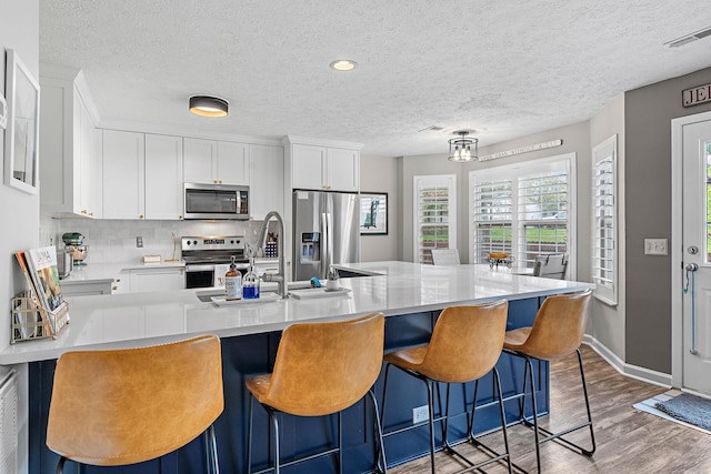 102 Braxton Park Ct, Goodlettsville, TN 37072 - kitchen with stainless steel appliances, a sink, wood finished floors, a textured ceiling, and light countertops