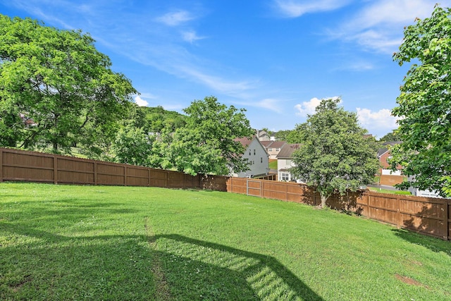 102 Braxton Park Ct, Goodlettsville, TN 37072 - view of yard