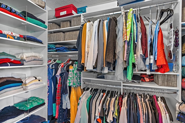 102 Braxton Park Ct, Goodlettsville, TN 37072 - view of walk in closet