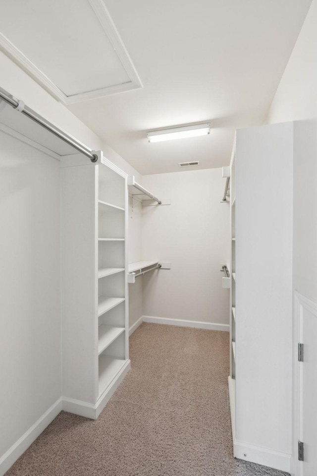 walk in closet featuring carpet floors