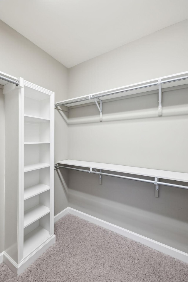 walk in closet featuring carpet flooring