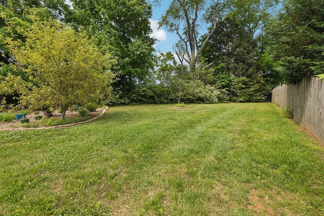 view of yard