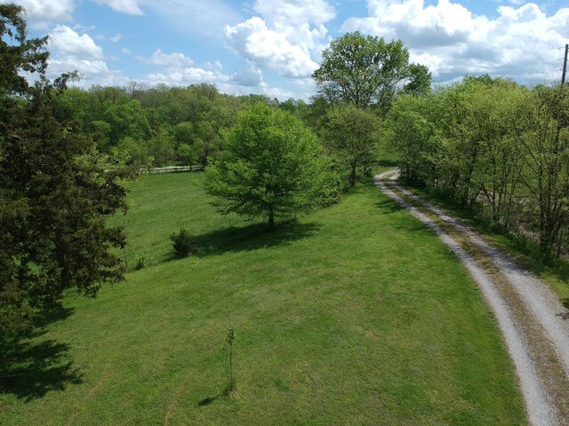 170 School House Ln, Castalian Springs, TN 37031 - aerial view
