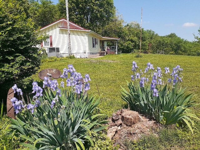 170 School House Ln, Castalian Springs, TN 37031 - view of green lawn