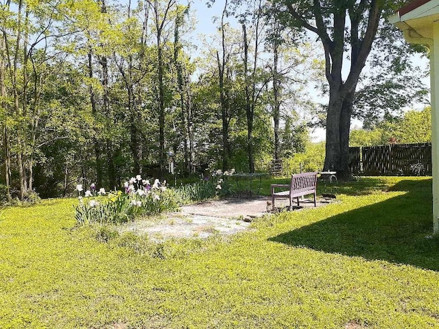 170 School House Ln, Castalian Springs, TN 37031 - view of surrounding community