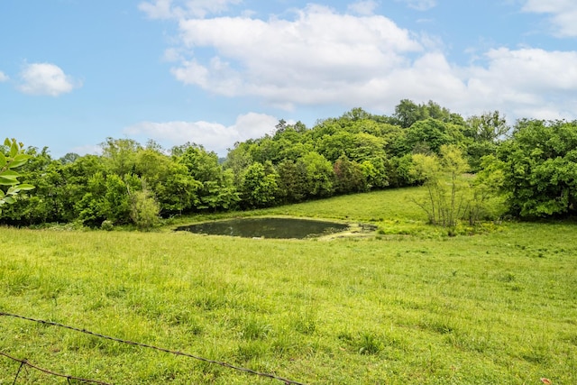 170 School House Ln, Castalian Springs, TN 37031 - view of local wilderness featuring a large body of water